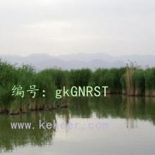 į