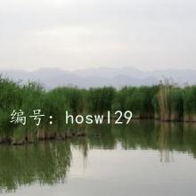 ¿